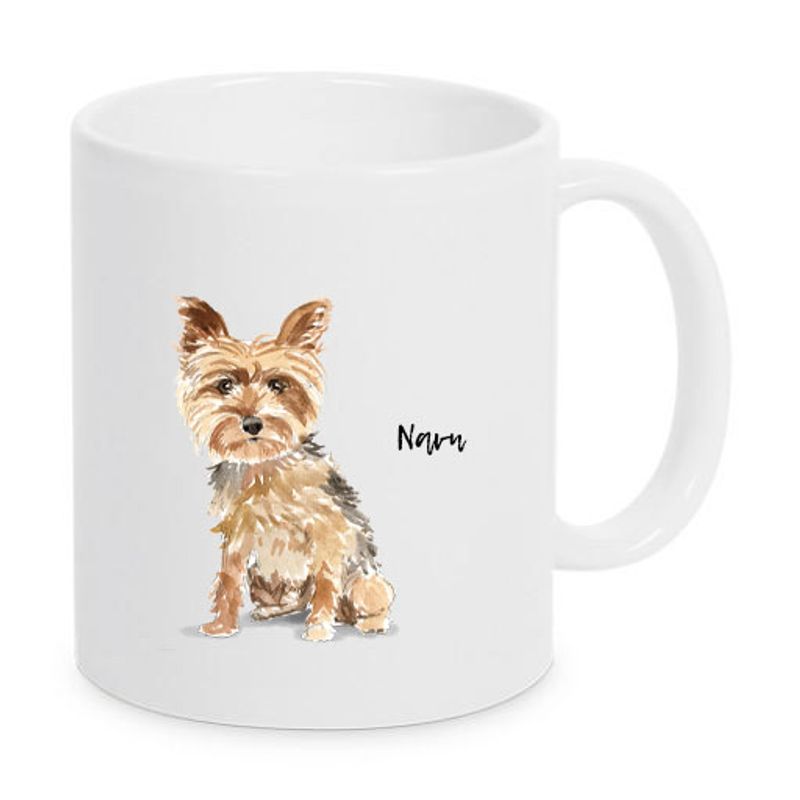 Norwich terrier