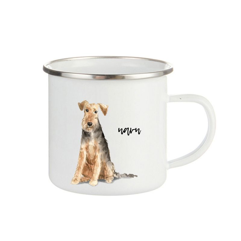 Welsh terrier