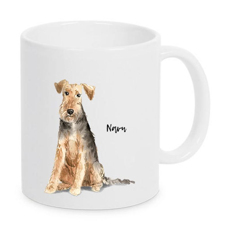 Welsh terrier