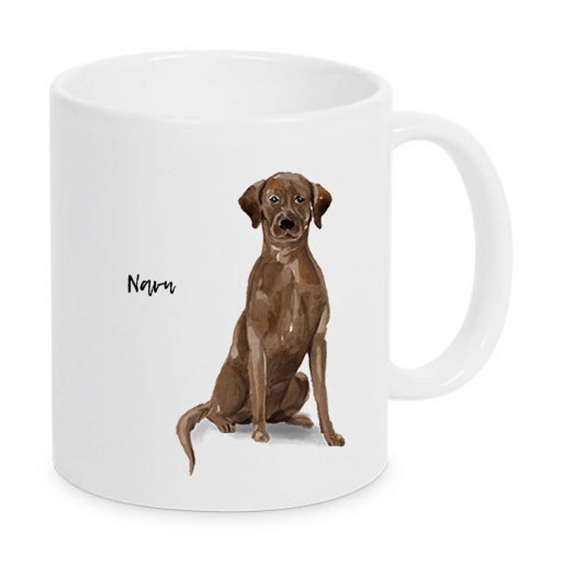 kopp-labrador-brun