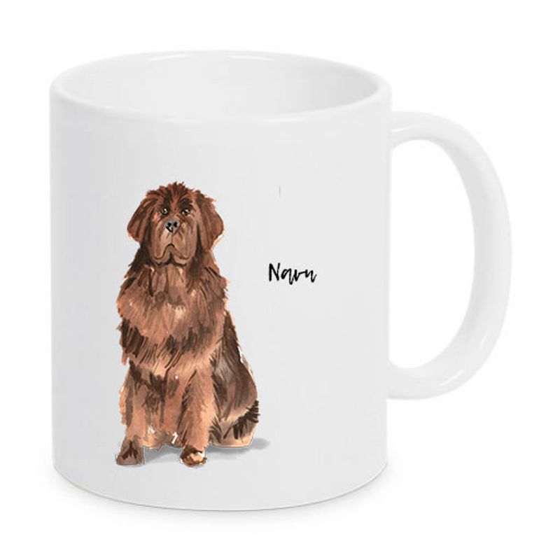 Newfoundlandshund
